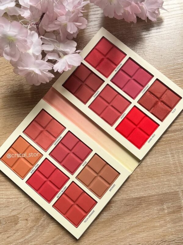 باليت بلاشر (الاصلي)