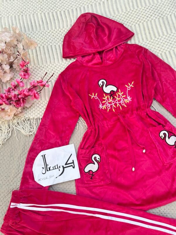 img_5158 تراك مخمل مطرز وردي