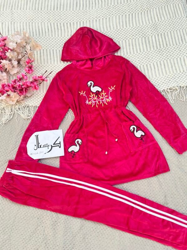 img_5161 تراك مخمل مطرز وردي