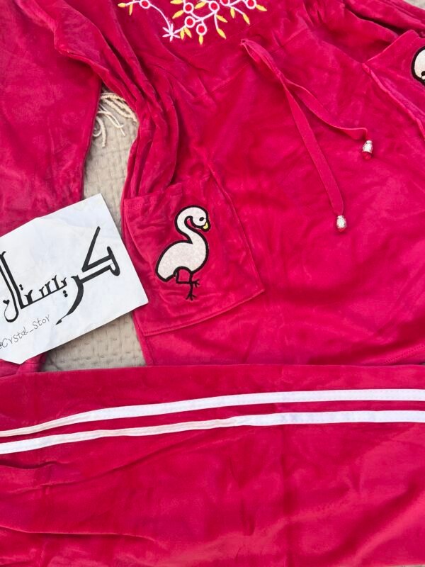 img_5164 تراك مخمل مطرز وردي